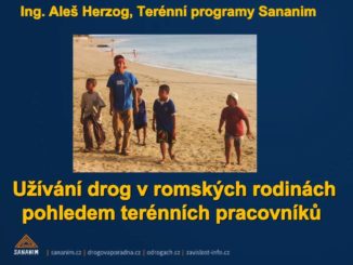 Prezentace Užívání drog v romských rodinách pohledem terénních pracovníků Aleše Herzoga - 2013