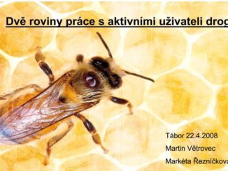 Prezentace Martina Větrovce a Markéty Řezníčkové z konference v Táboře v roce 2008